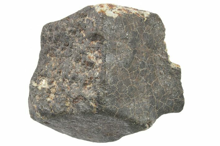 Hammadah al Hamra L Chondrite Meteorite ( g) - Libya #266632